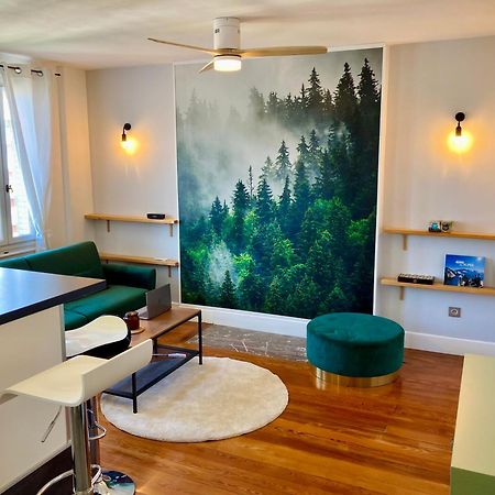 Le Nivolet, Cosy Appartement Шамбери Екстериор снимка